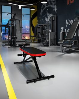 Electric Inversion Table